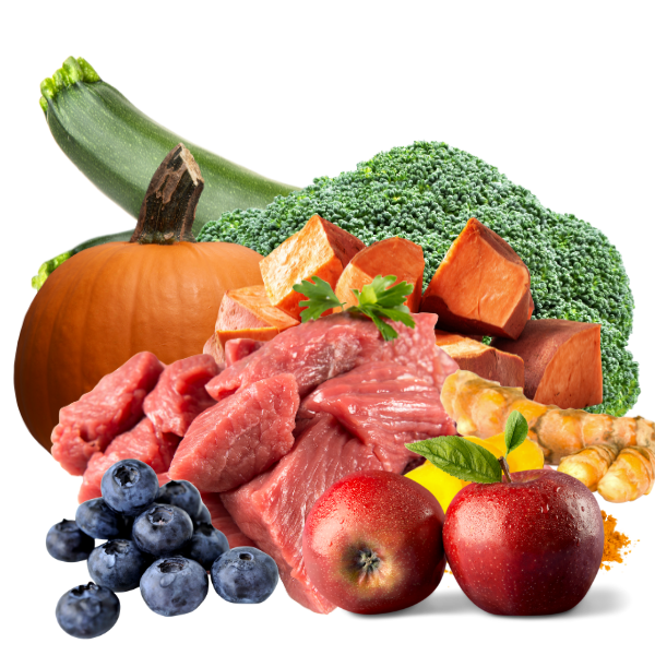 OMF Performance Raw Beef Blend